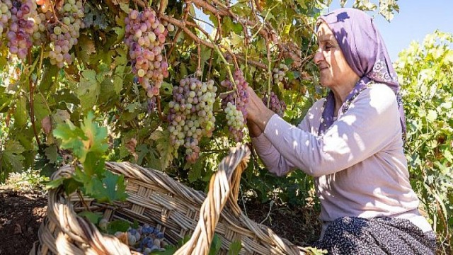 Gizemli Krallık Kommagene’nin Sırlarının İzinde Bir Keşif Şöleni