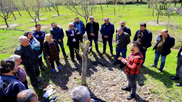 Kursiyerlere ağaç budama ve aşılama eğitimi verilmeye başlandı