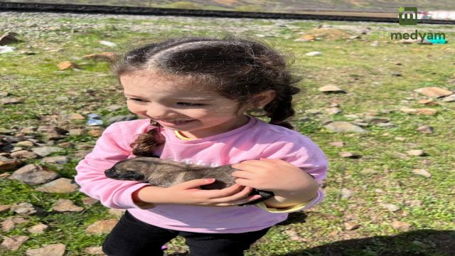 ÖMÜR SARYA YAVRULARA ÖMÜR OLDU